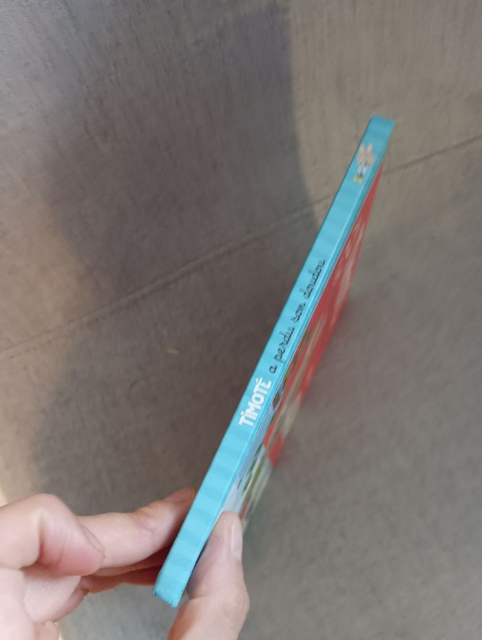 Livre timoté a perdu son doudou - photo numéro 2