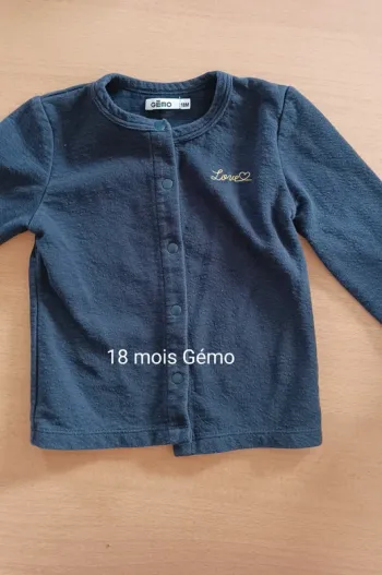 Gilet