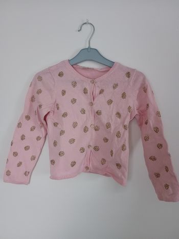 Gilet fille 6 ans dpam