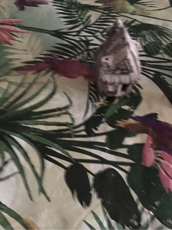 Objets pour aquarium