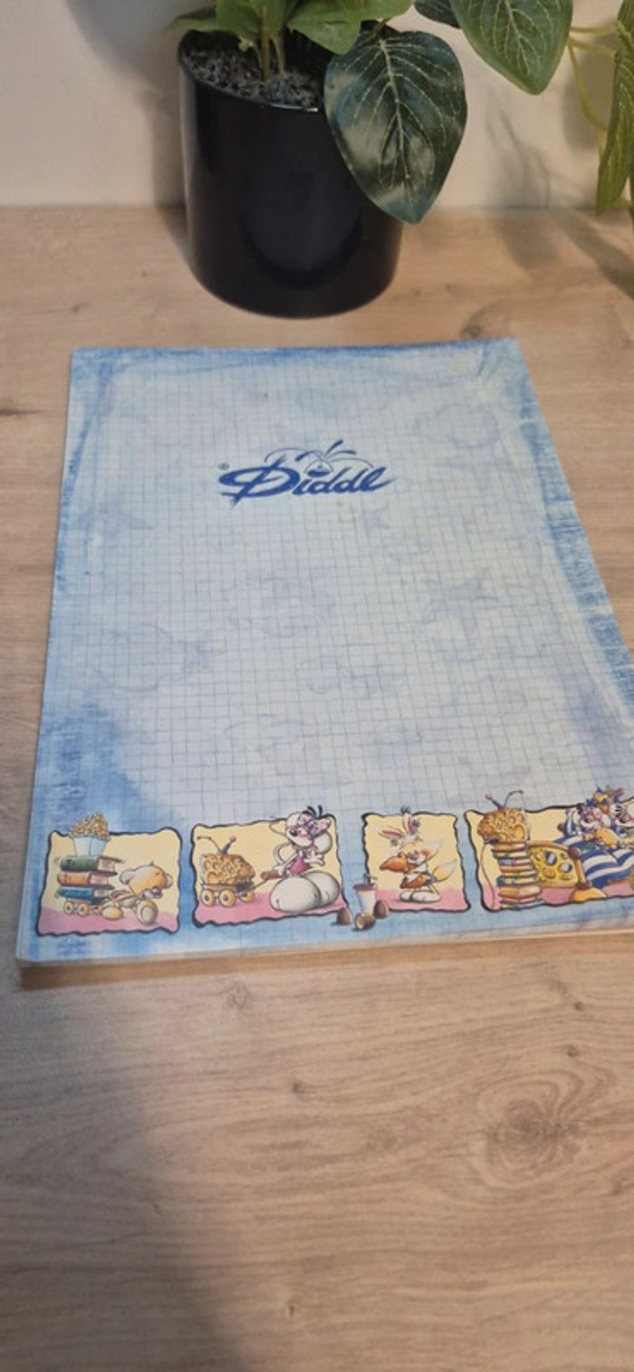 Carnet de feuilles diddl