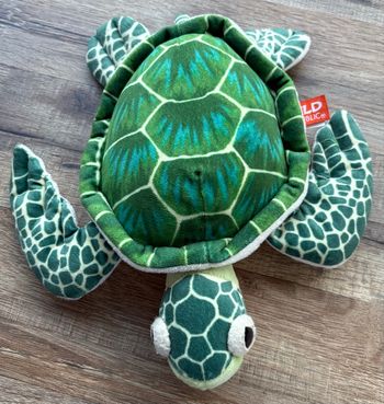 Nounours tortue 