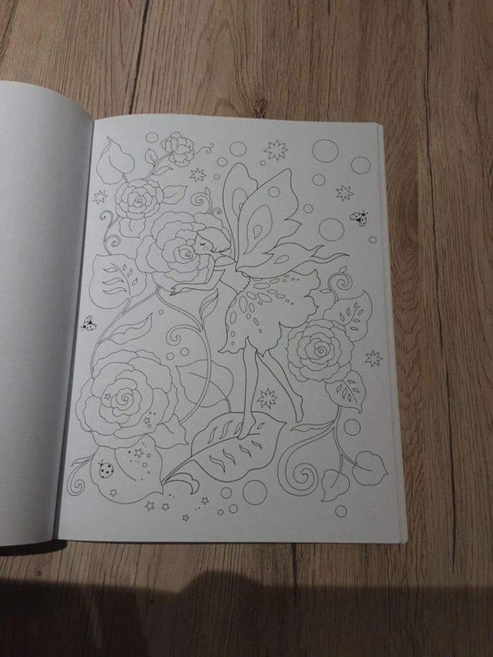 Livre coloriage - photo numéro 6