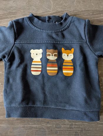 Pull animaux