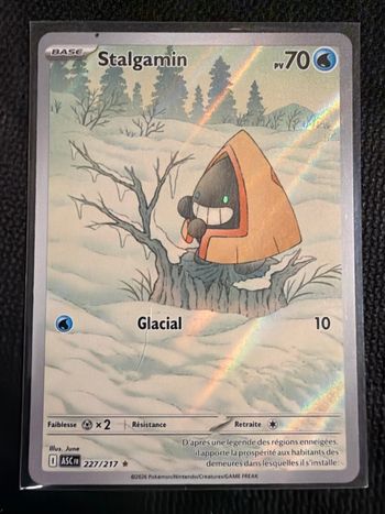 Pokémon Stalgamin 227/217 FR Héros Transcendants