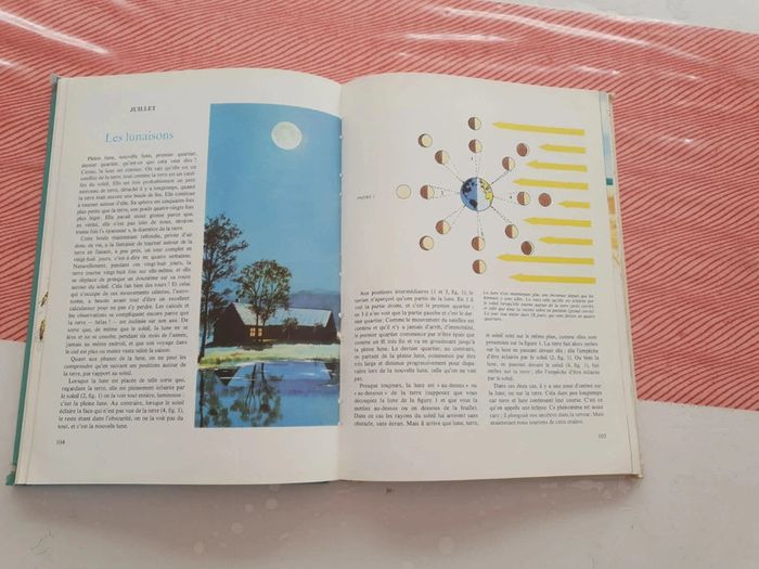Livre vintage la nature - photo numéro 12