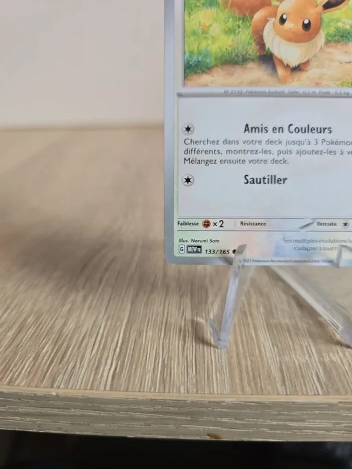 Evoli 133/165 - photo numéro 5