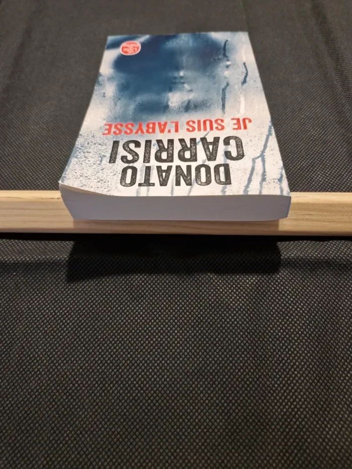 Je suis l'Abysse - Donato Carrisi - photo numéro 4
