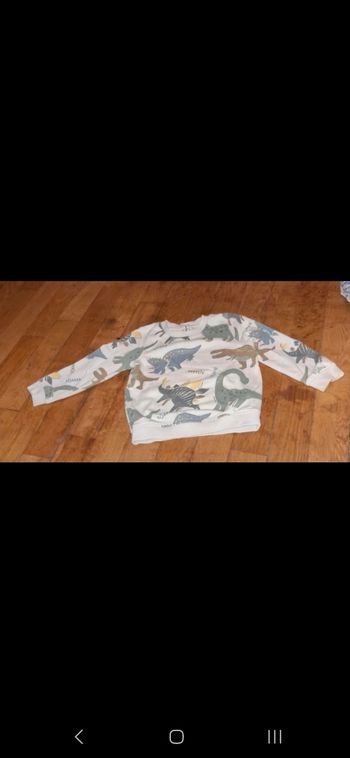 Pull dinosaure 24 mois 2 ans gemo