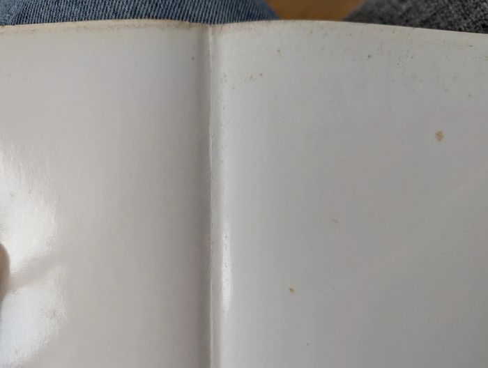 Quel Cirque ? - photo numéro 9