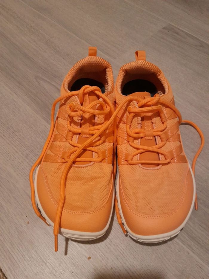 Saguaro forestep I neuves 40 barefoot