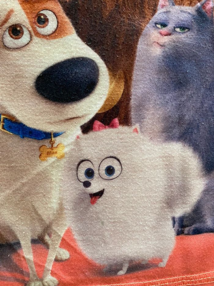 T shirt manches courtes 4 ans - photo numéro 2