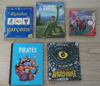 Kididoc Les châteaux forts, Histoires de pirates et de dinosaures