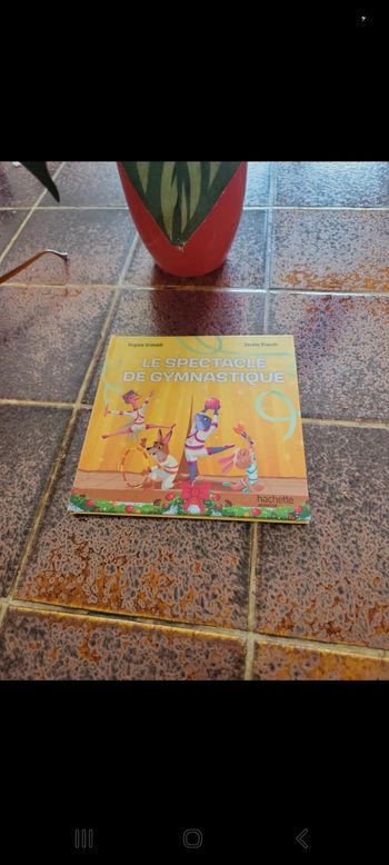 Le spectacle de gymnastique