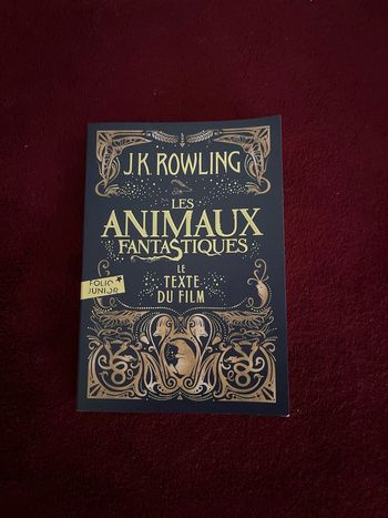 Livre JK Rowling Les animaux fantastiques Le texte du film