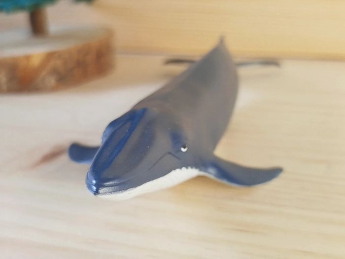 PAPO Jeune baleine - Figurine Animal de la Mer - photo numéro 2