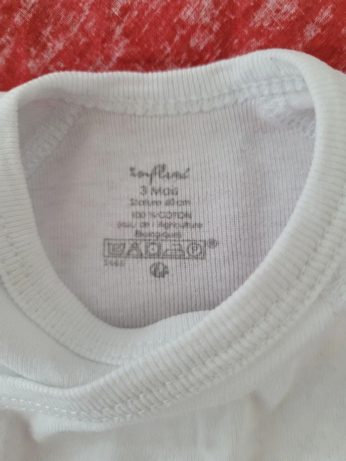 Lot 2 bodies 3 mois - photo numéro 2