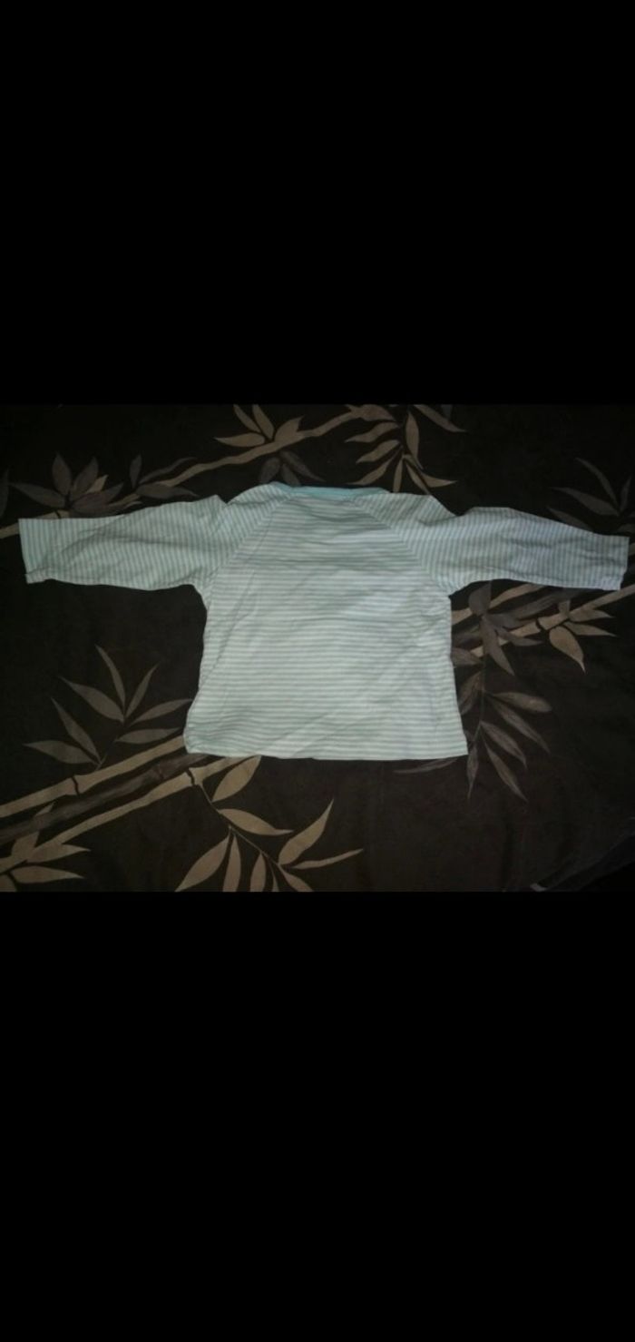 Tee shirt 12 mois rayé Les Aristochats Disney - photo numéro 3