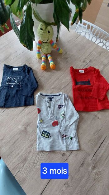 Lot 3 Tee shirts manches longues