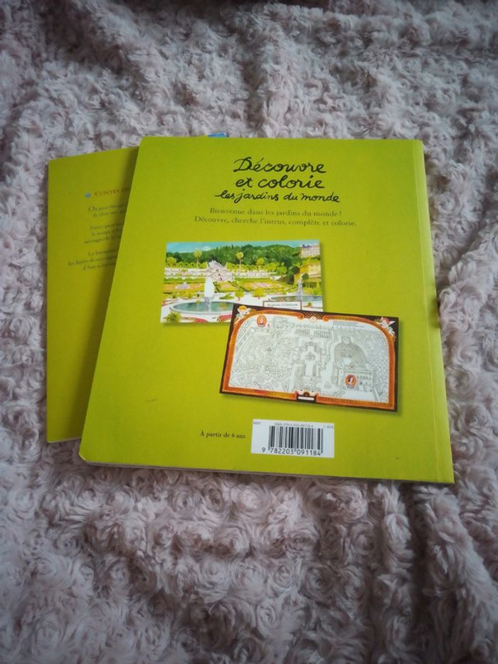 Lot de 2 livres pour enfants - photo numéro 12