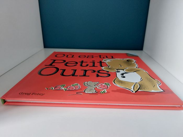 Livre jeunesse "Où es-tu Petit Ours" Greg Foley Circonflexe - photo numéro 5