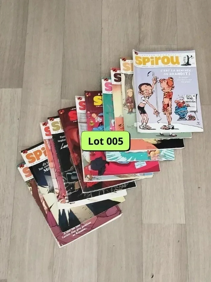 Lot de 12 magazines SPIROU année 2010 L005