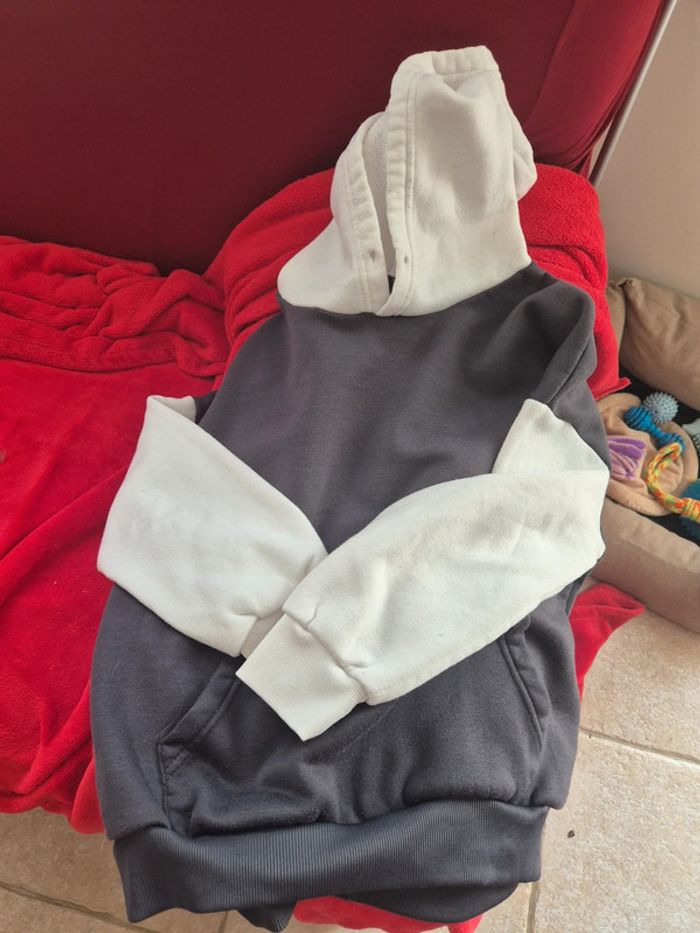 Swear capuche