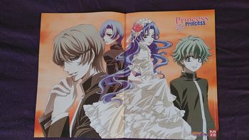 Poster Princess Princess