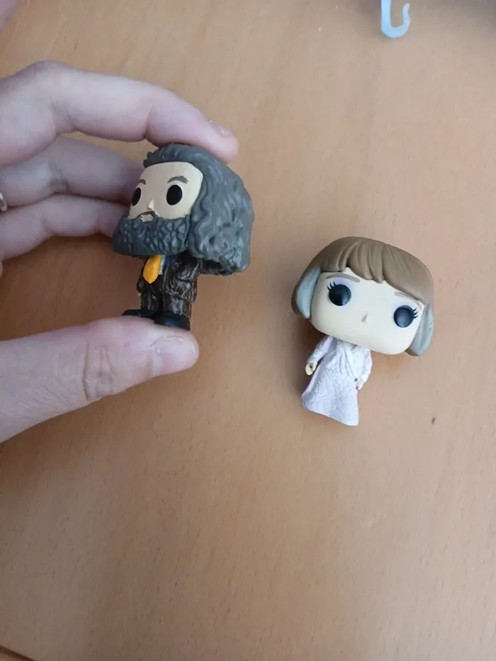 Hagrid et mme maxime mini pop - photo numéro 2