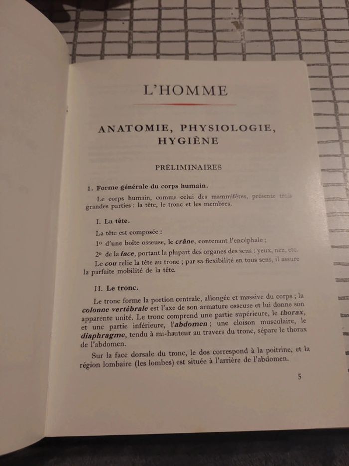 L'homme - photo numéro 2