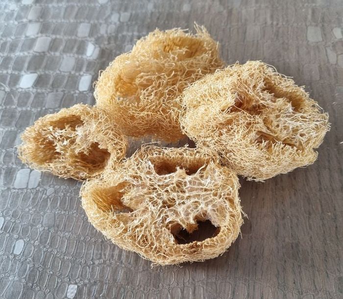 Lot de 4 tranches de loofah