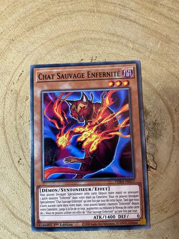 Carte Yu-Gi-Oh! : Chat sauvage enfernité - PHRA-FR017