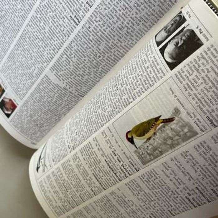 Dictionnaire vintage - photo numéro 4