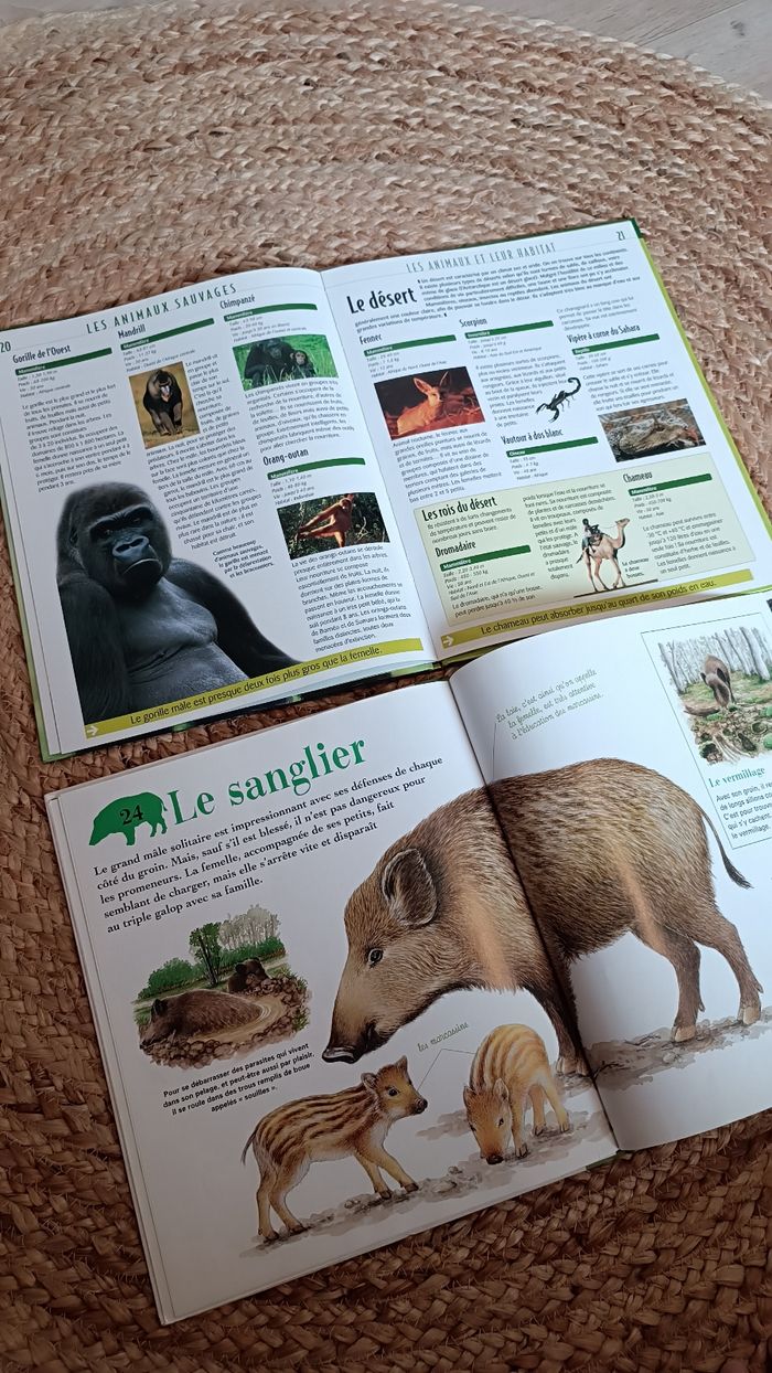 Lot de 2 livres éducatifs sur les animaux - photo numéro 3