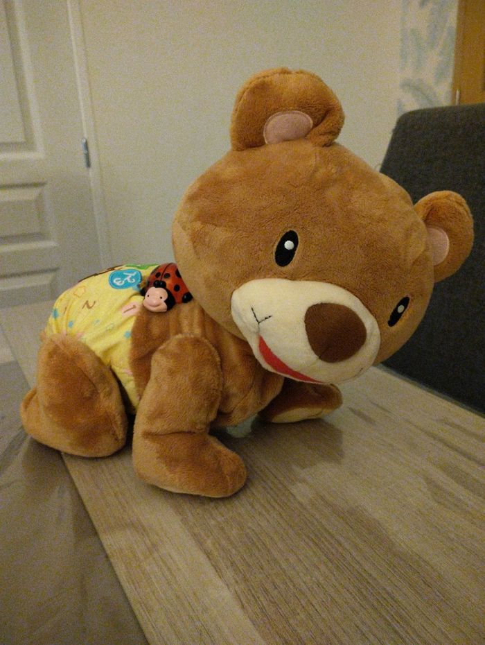 Ourson quatre pattes