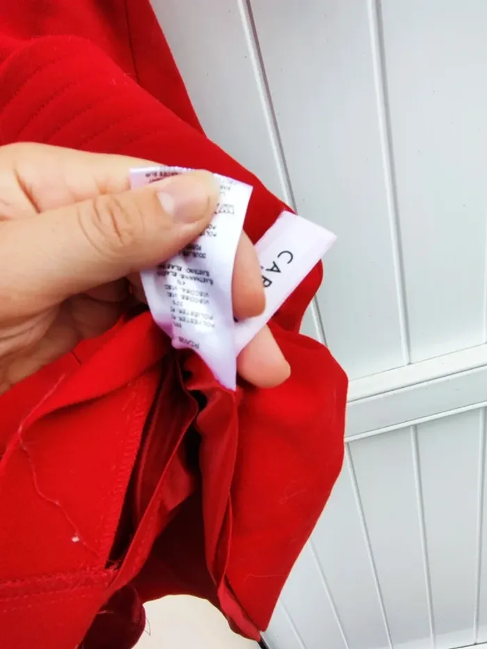 Caroll - photo numéro 7