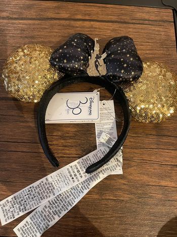 Ears disneyland paris