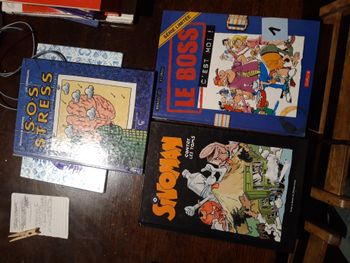 Lot 3 bandes dessinées 