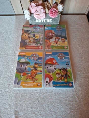Dvd de la Pat Patrouille 
