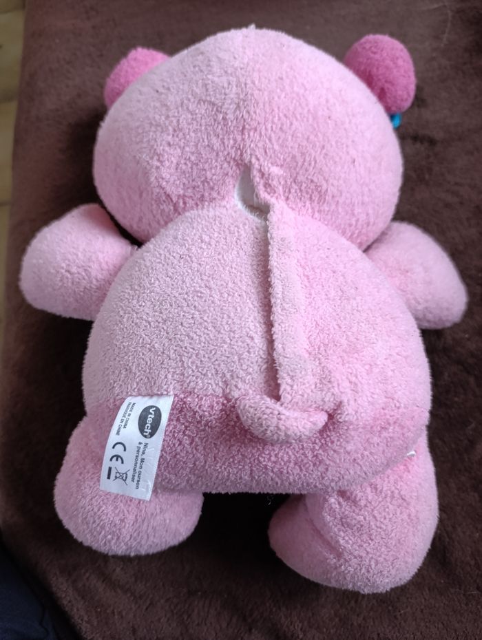 ours vetch - photo numéro 2