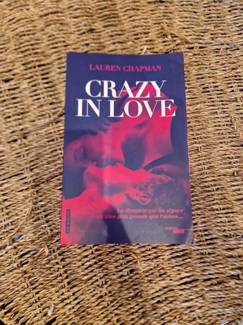 Crazy in Love de Lauren Chapman