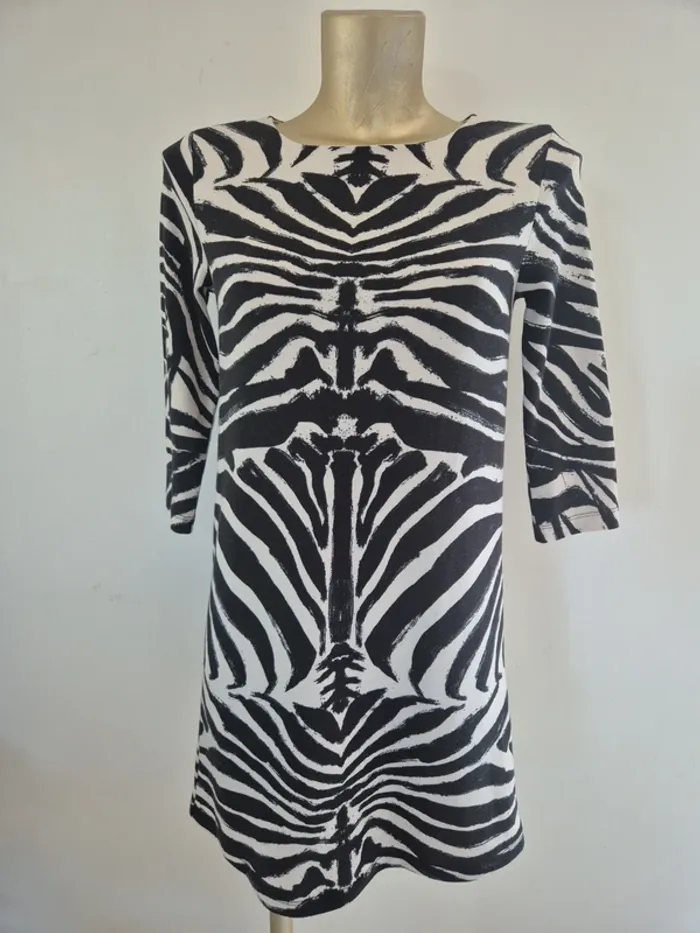 Robe zèbre taille xs h&m - photo numéro 2