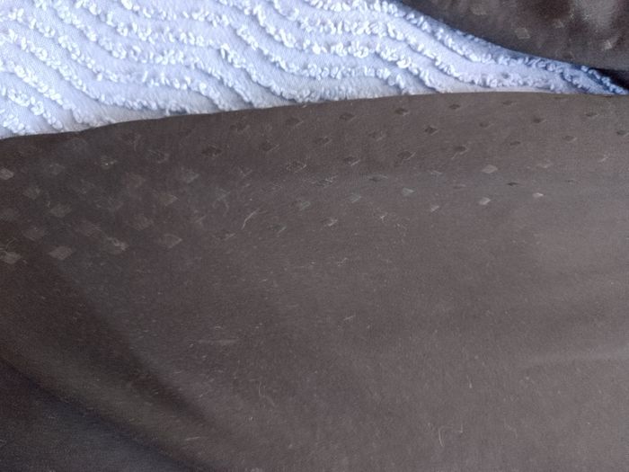 Pantalon équitation femme hiver - photo numéro 3