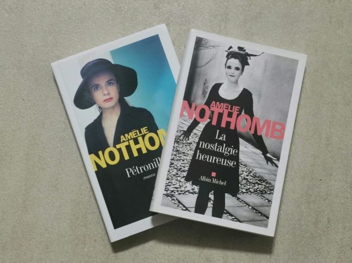 Lot 7 romans Amélie Nothomb - 3  titres + 4 offerts - photo numéro 3