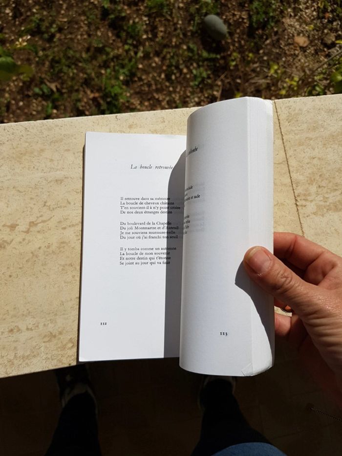 Calligrammes - Apollinaire - photo numéro 3