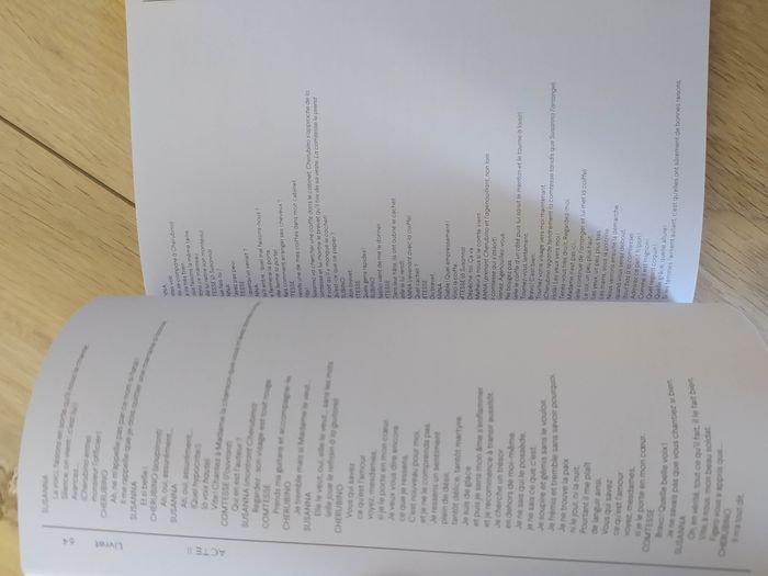 Les noces de figaro, opéra de Nancy - photo numéro 4