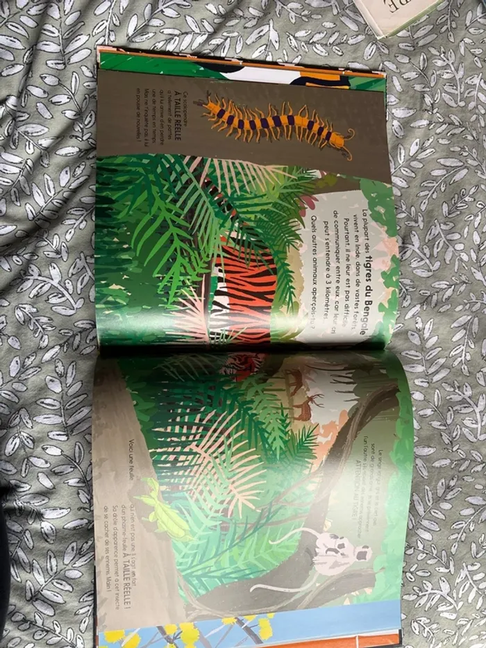 Livre Grandeur nature - photo numéro 9