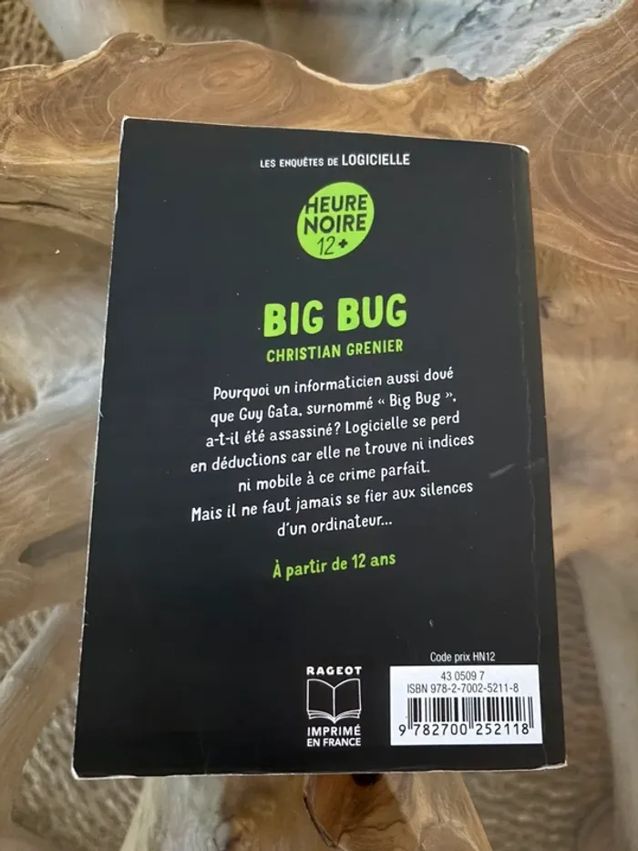 Livre Big Bug Christian Grenier - photo numéro 2