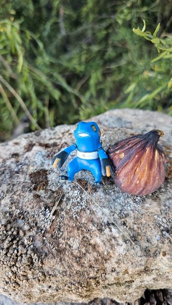 Super figurine Pokemon Nintendo cradopaud