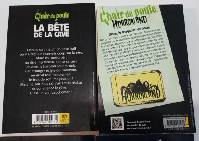 Lot 4 livres chair de poule - photo numéro 5